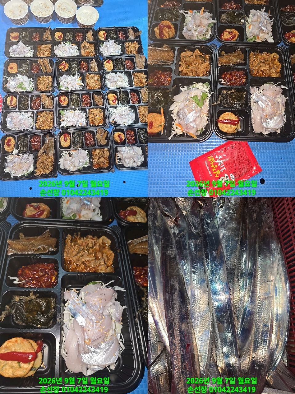 9월 9일 마산 갈치 선상낚시 조황 현장 사진 5