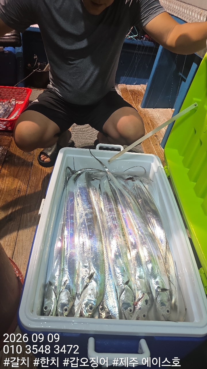 9월 9일 갈치 선상낚시 조황 현장 사진 5
