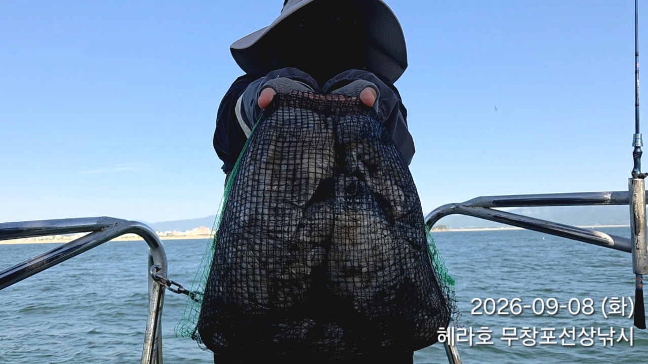 9월 8일 포항 주꾸미 선상낚시 조황 현장 사진 1