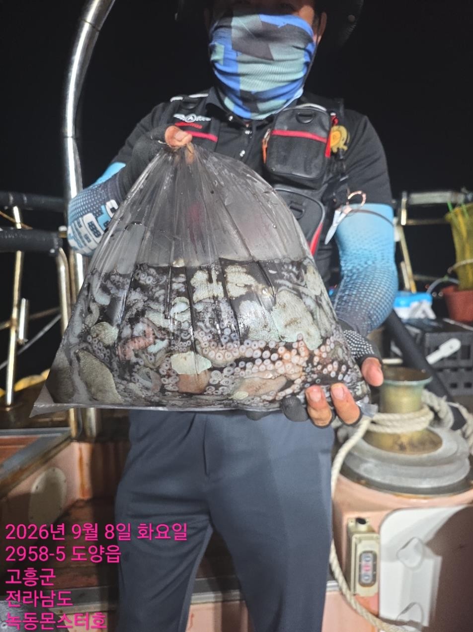 9월 8일 통영 갑오징어 선상낚시 조황 현장 사진 3