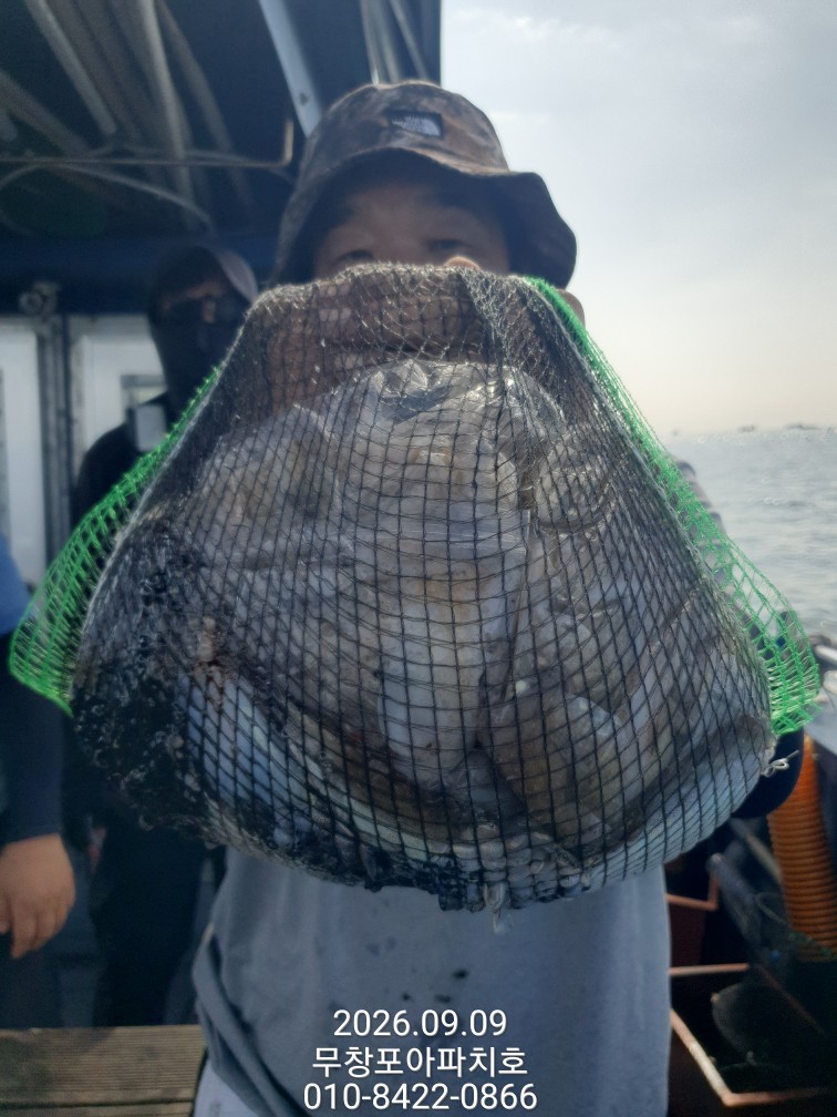 9월 9일 포항 주꾸미 선상낚시 조황 현장 사진 5