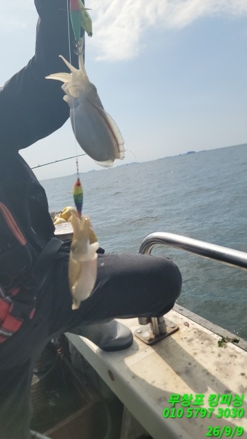 9월 9일 갑오징어 선상낚시 조황 현장 사진 6