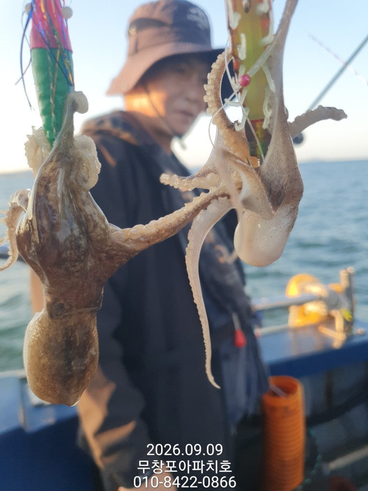 9월 9일 포항 주꾸미 선상낚시 조황 현장 사진 17