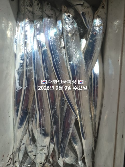 9월 9일 선상낚시 조황 현장 사진 7