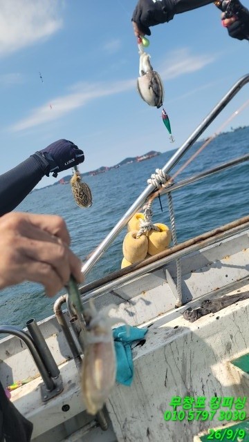 9월 9일 갑오징어 선상낚시 조황 현장 사진 10