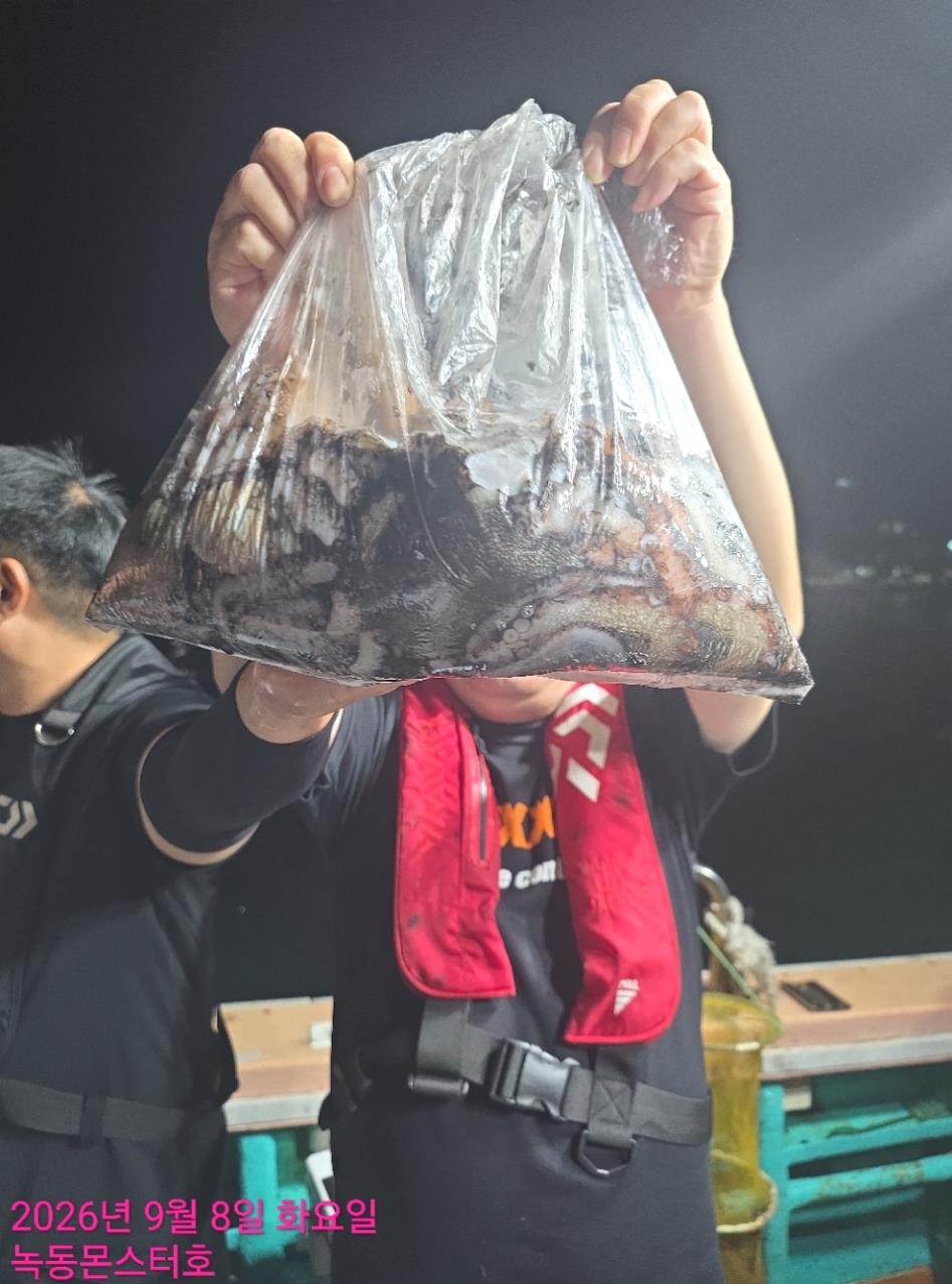 9월 8일 통영 갑오징어 선상낚시 조황 현장 사진 10
