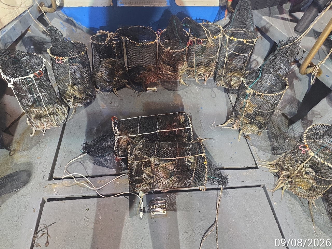 9월 9일 남해 문어 선상낚시 조황 현장 사진 7