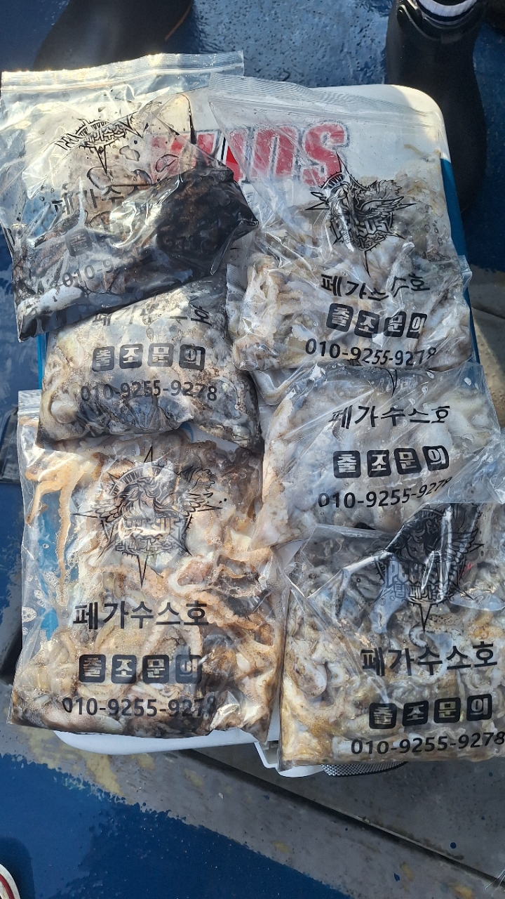 9월 9일 갑오징어 선상낚시 조황 현장 사진 6