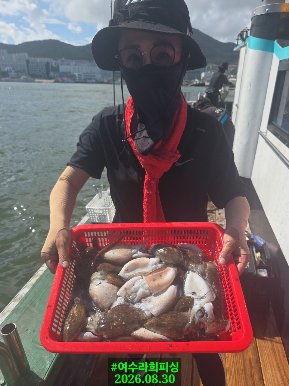 9월 9일 갑오징어 선상낚시 조황 현장 사진 6