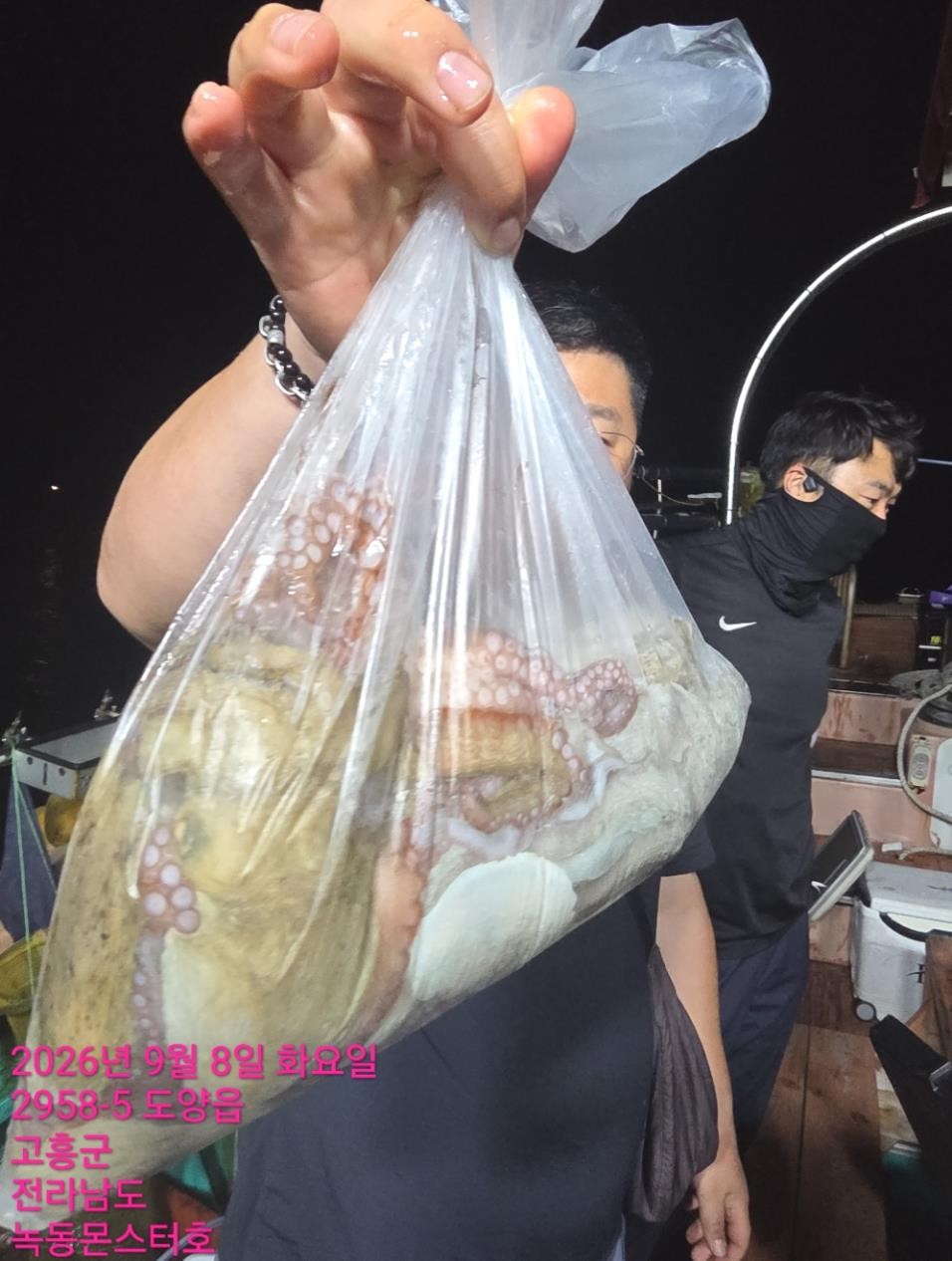 9월 8일 통영 갑오징어 선상낚시 조황 현장 사진 5