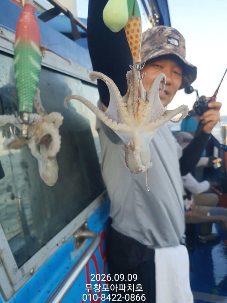 9월 9일 포항 주꾸미 선상낚시 조황 현장 사진 16