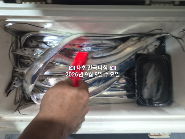 9월 9일 선상낚시 조황 현장 사진 5