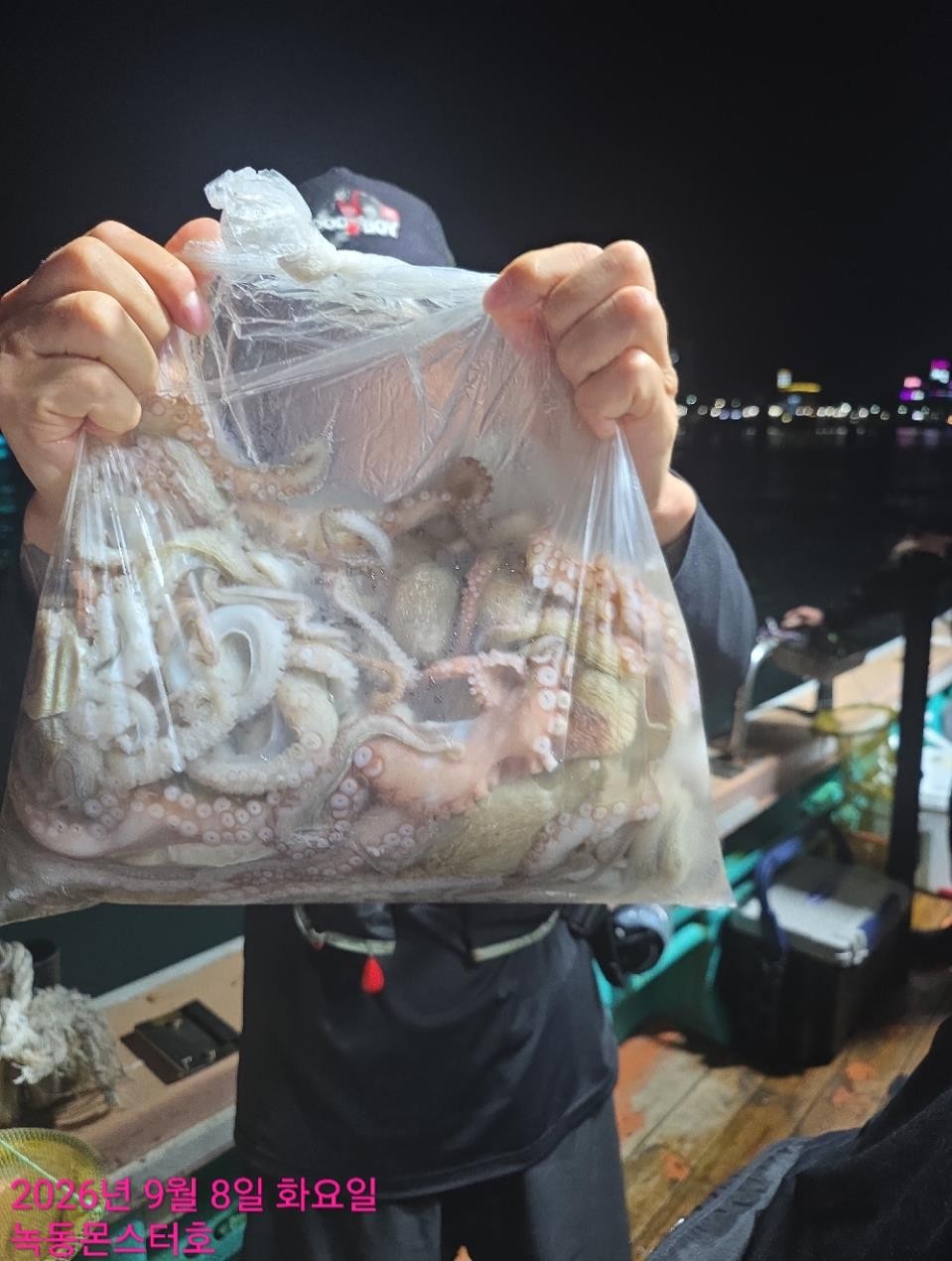 9월 8일 통영 갑오징어 선상낚시 조황 현장 사진 9