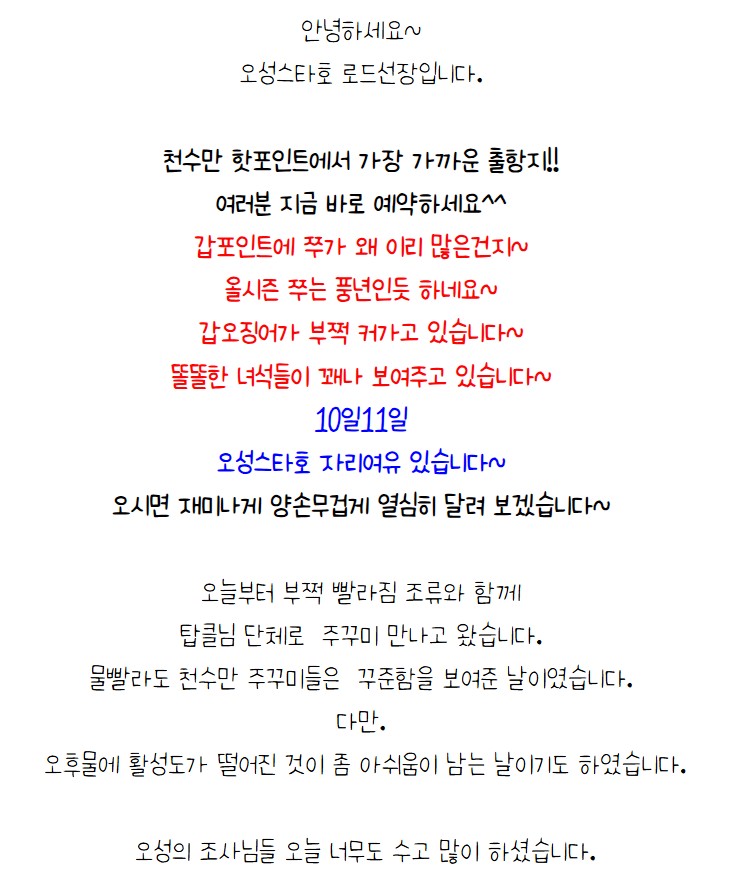 9월 9일 보령 갑오징어 선상낚시 조황 현장 사진 1