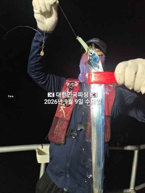 9월 9일 선상낚시 조황 현장 사진 1