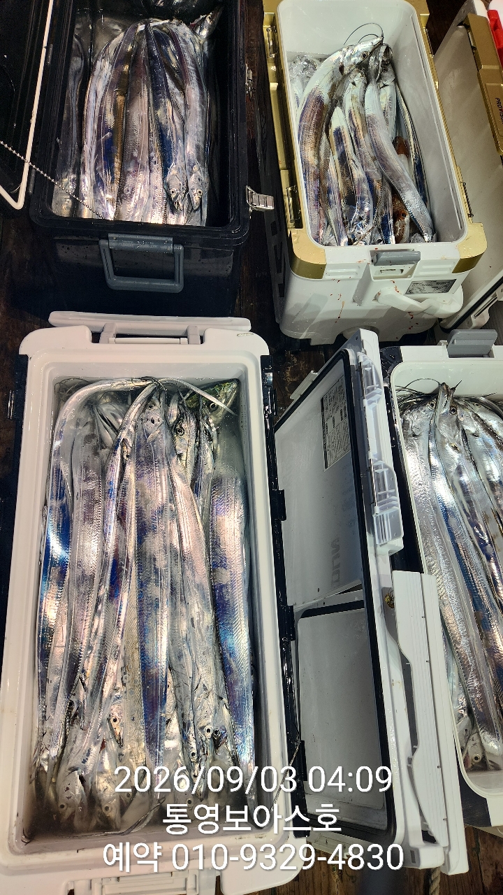 9월 10일 통영 갈치 선상낚시 조황 현장 사진 1