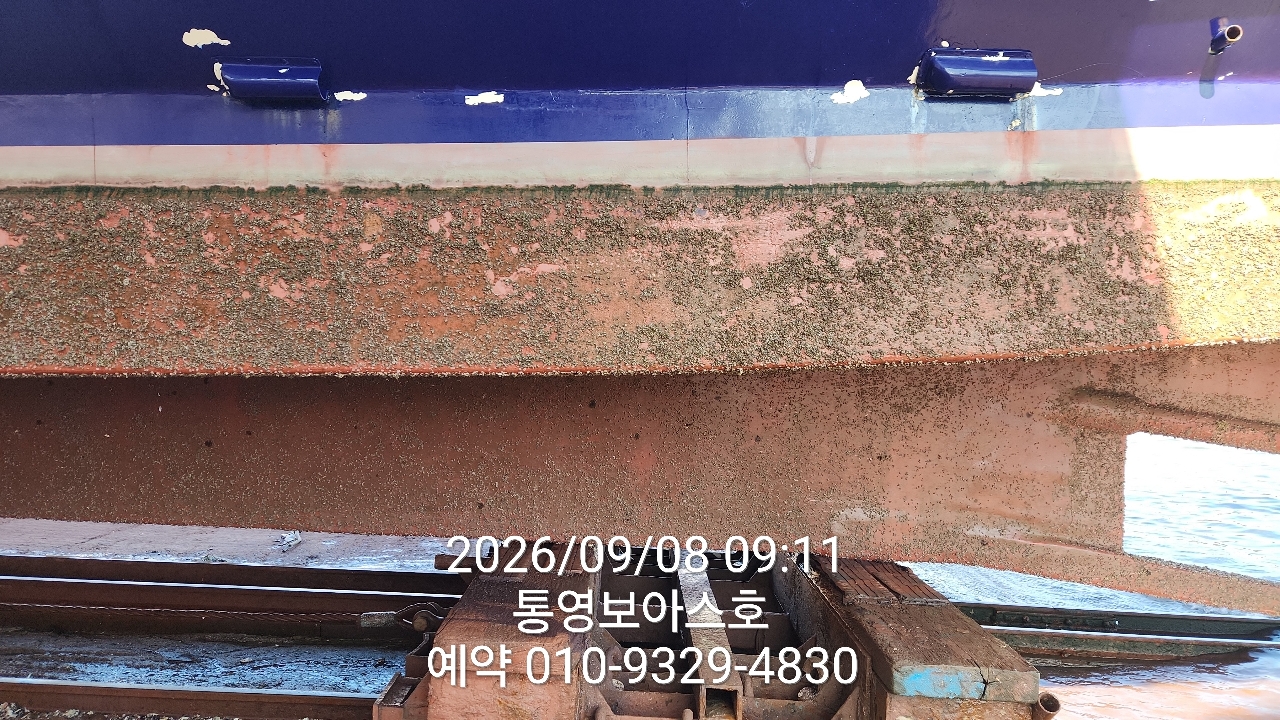 9월 10일 통영 갈치 선상낚시 조황 현장 사진 8