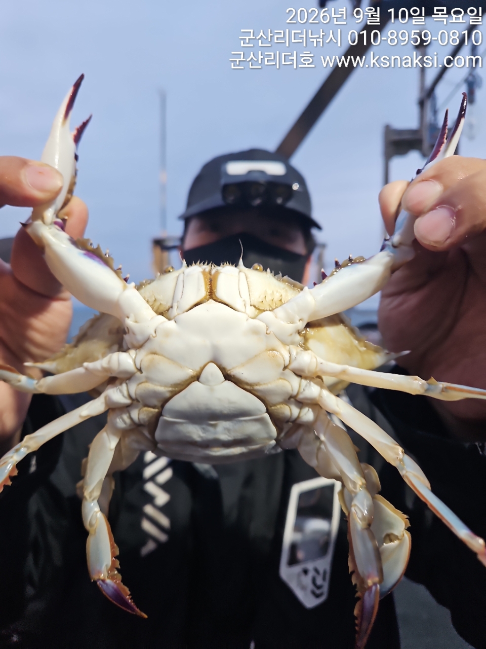 9월 11일 군산 선상낚시 조황 현장 사진 3