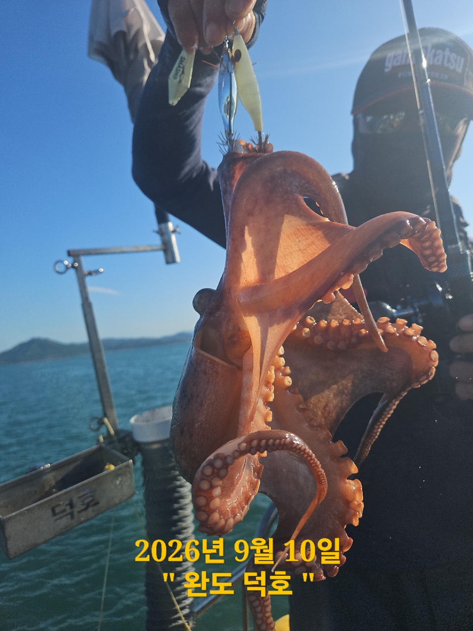 9월 10일 완도 문어 선상낚시 조황 현장 사진 8