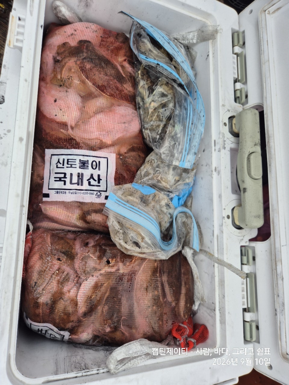 사용자가 올린 이미지