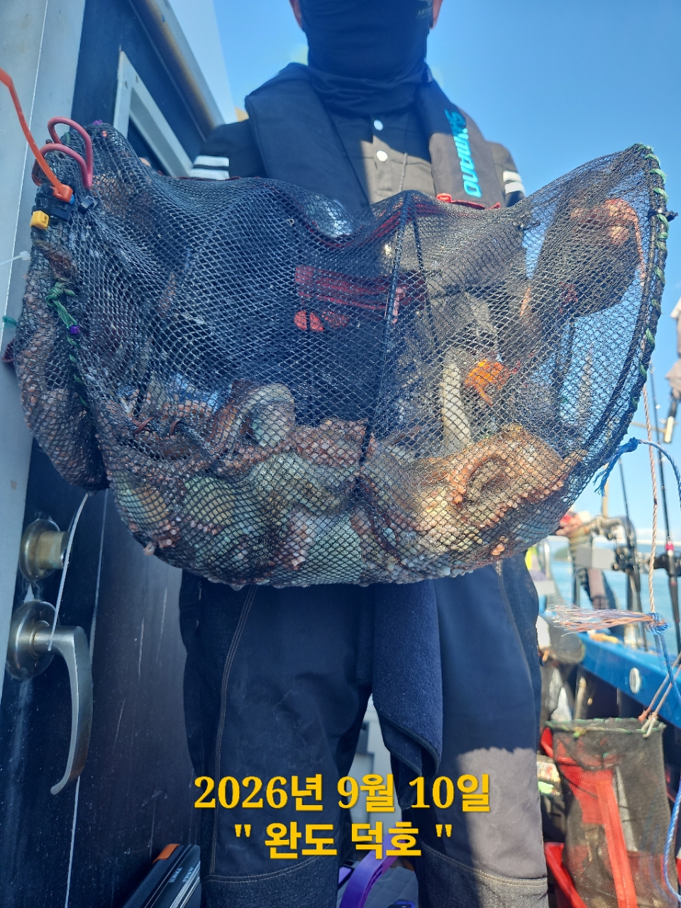 9월 10일 완도 문어 선상낚시 조황 현장 사진 3