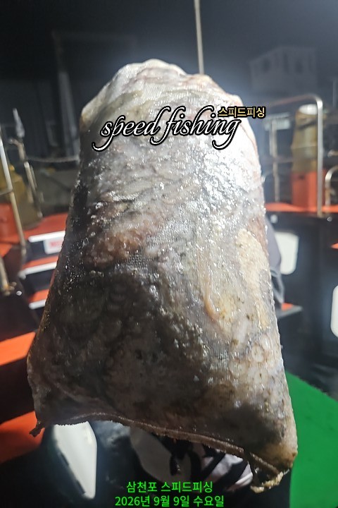 9월 10일 삼천포 문어 선상낚시 조황 현장 사진 2