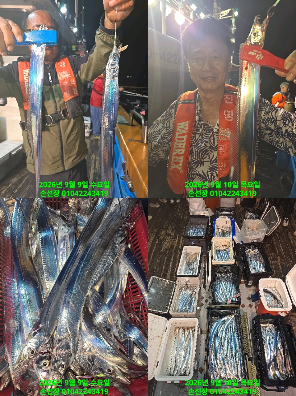 9월 10일 마산 갈치 선상낚시 조황 현장 사진 3