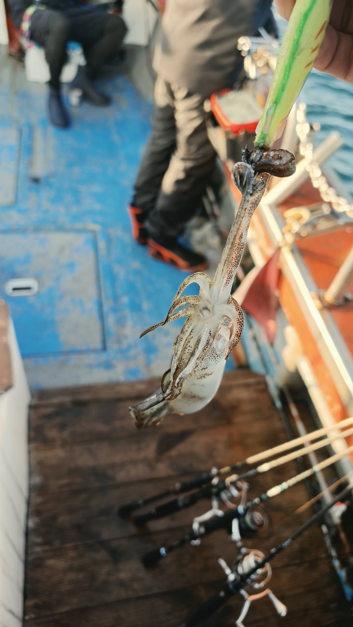 band images