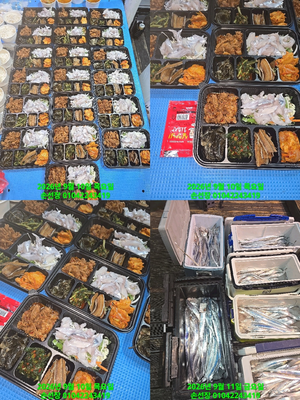 9월 11일 마산 갈치 선상낚시 조황 현장 사진 8