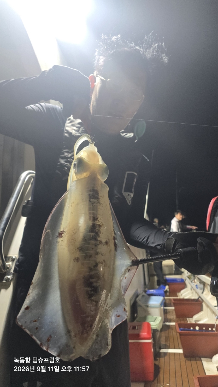 9월 12일 무늬오징어 선상낚시 조황 현장 사진 3
