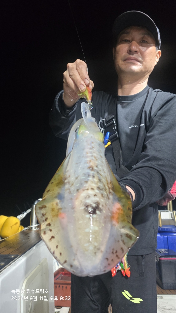 9월 12일 무늬오징어 선상낚시 조황 현장 사진 6