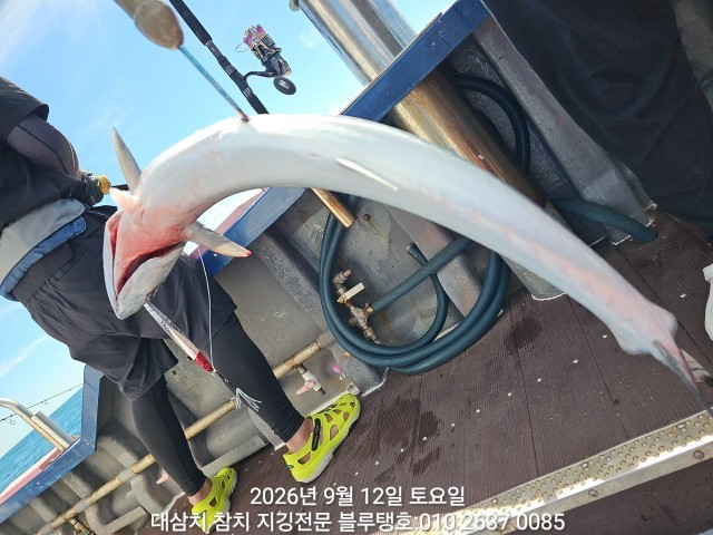 9월 12일 선상낚시 조황 현장 사진 6