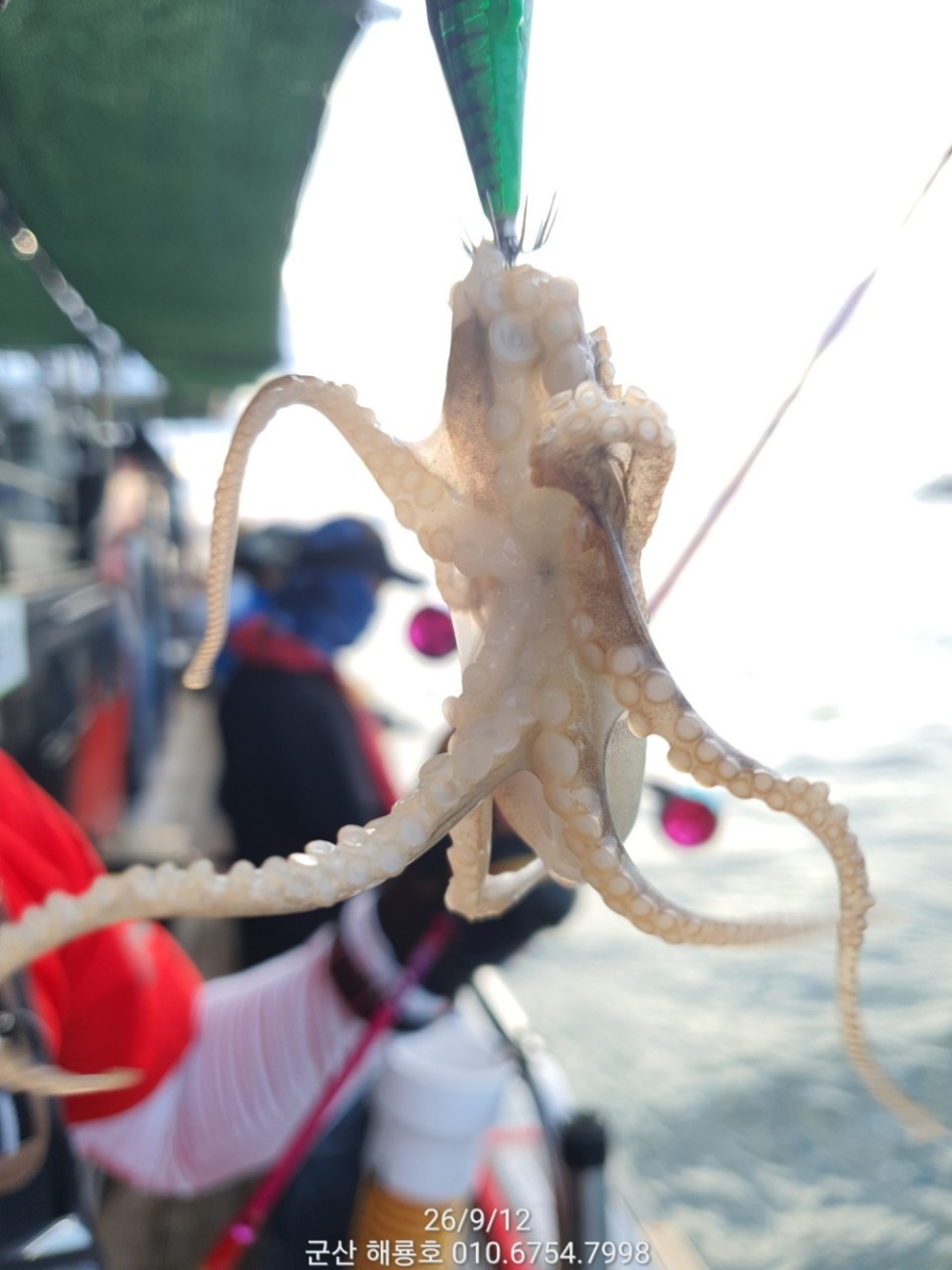 9월 12일 군산 주꾸미 선상낚시 조황 현장 사진 9
