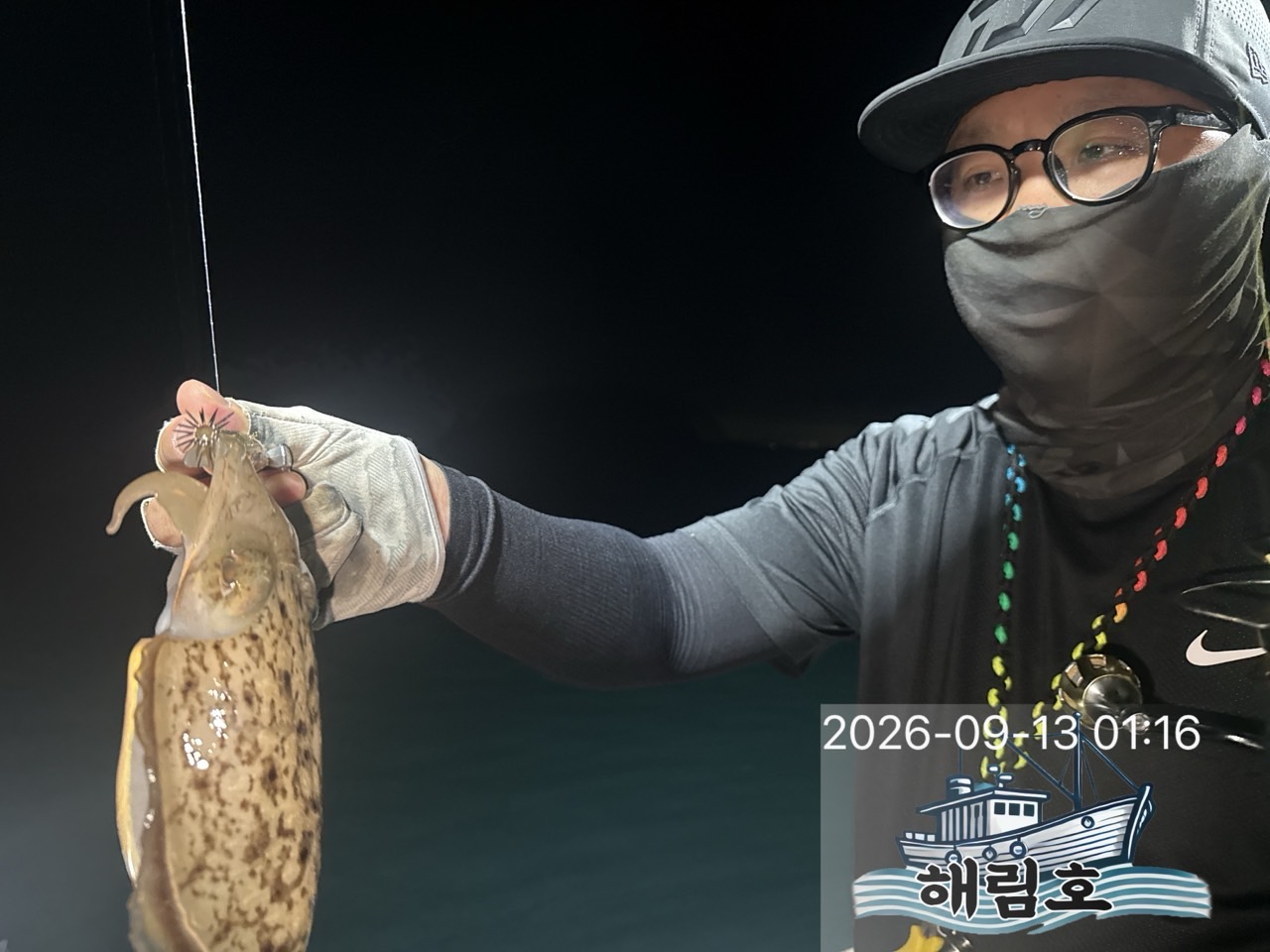 9월 12일 여수 무늬오징어 선상낚시 조황 현장 사진 5