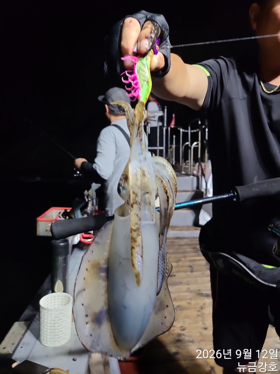 9월 12일 무늬오징어 선상낚시 조황 현장 사진 16