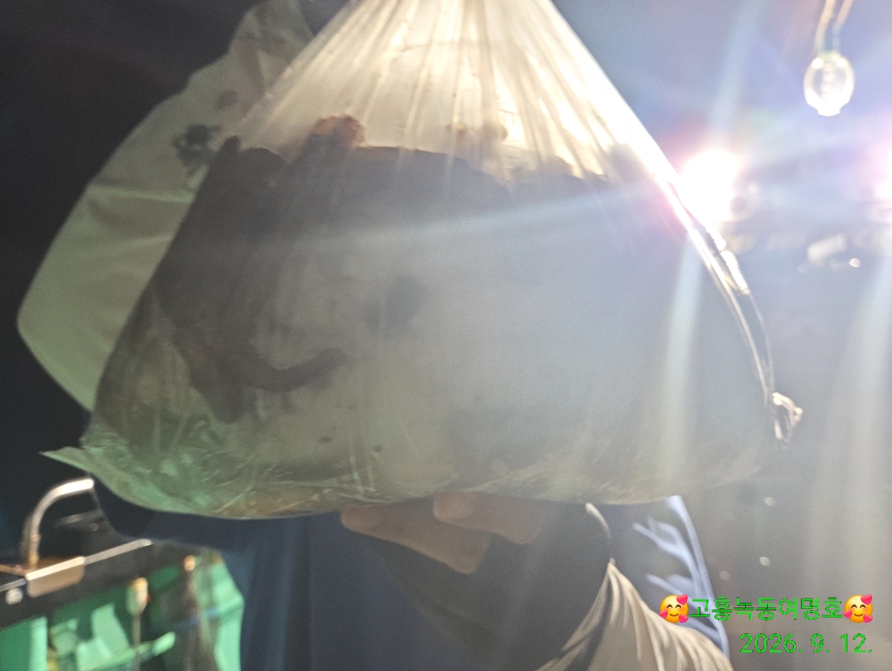 9월 13일 고흥 문어 선상낚시 조황 현장 사진 8
