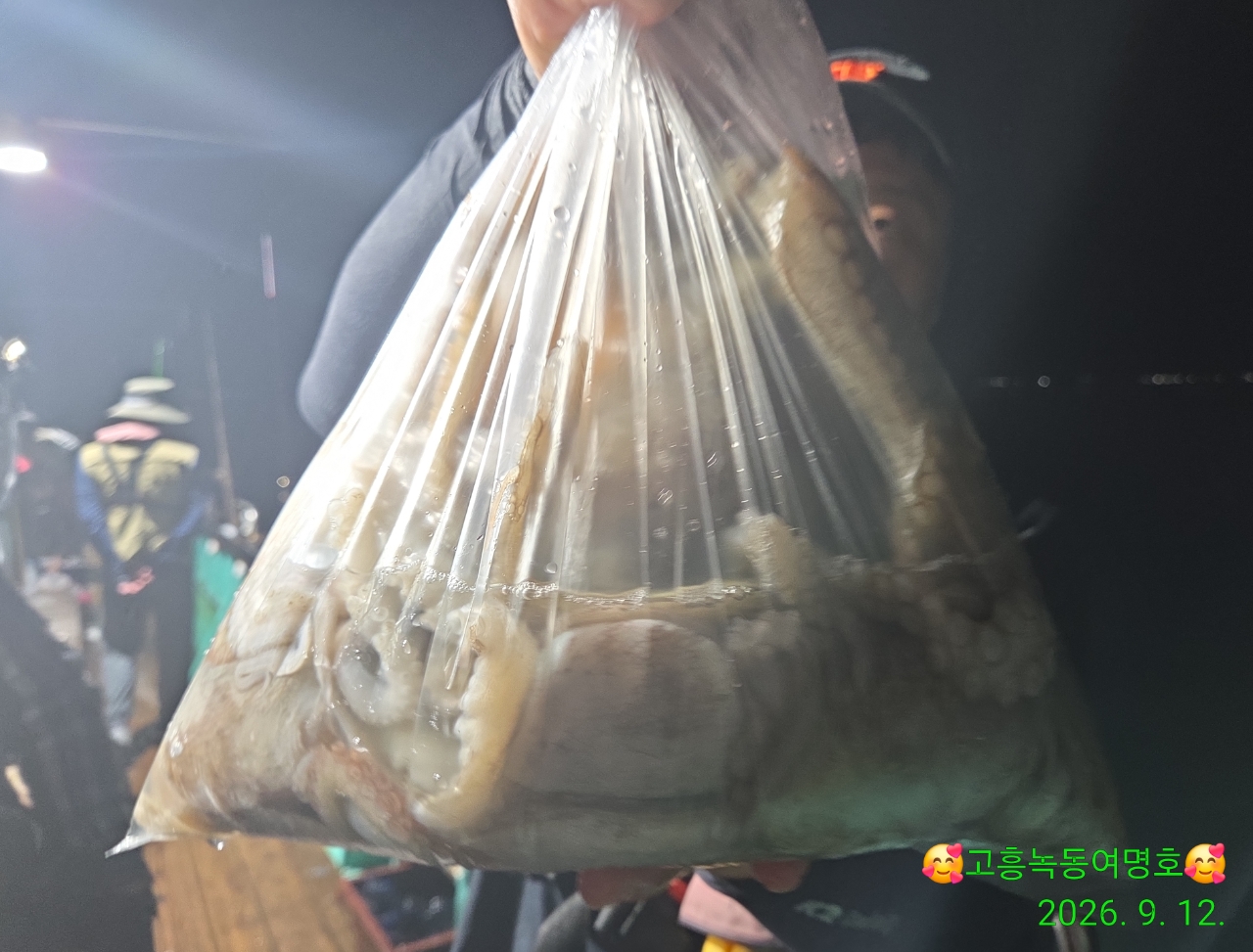 9월 13일 고흥 문어 선상낚시 조황 현장 사진 2