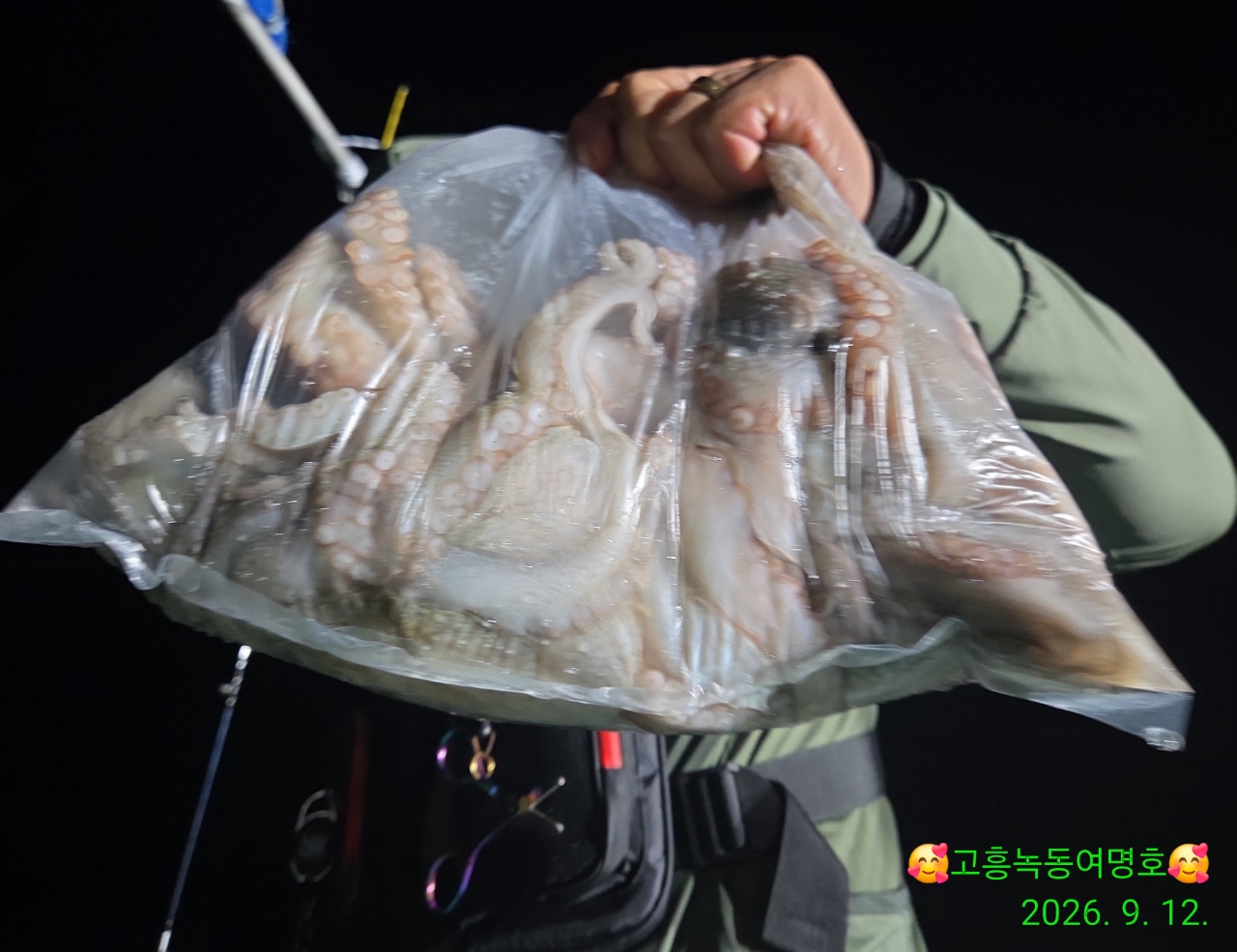 9월 13일 고흥 문어 선상낚시 조황 현장 사진 9