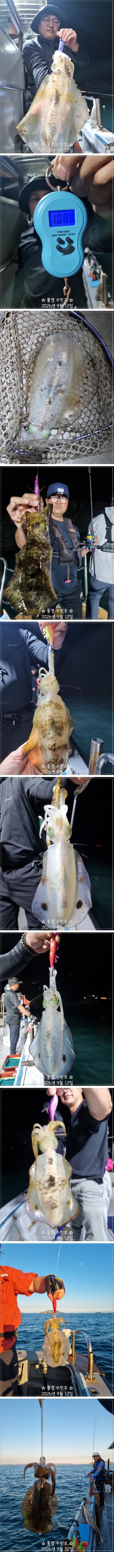 9월 13일 무늬오징어 선상낚시 조황 현장 사진 3