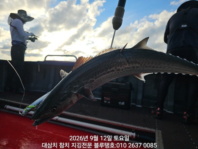 9월 12일 선상낚시 조황 현장 사진 20