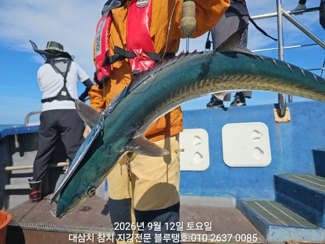 9월 12일 선상낚시 조황 현장 사진 4