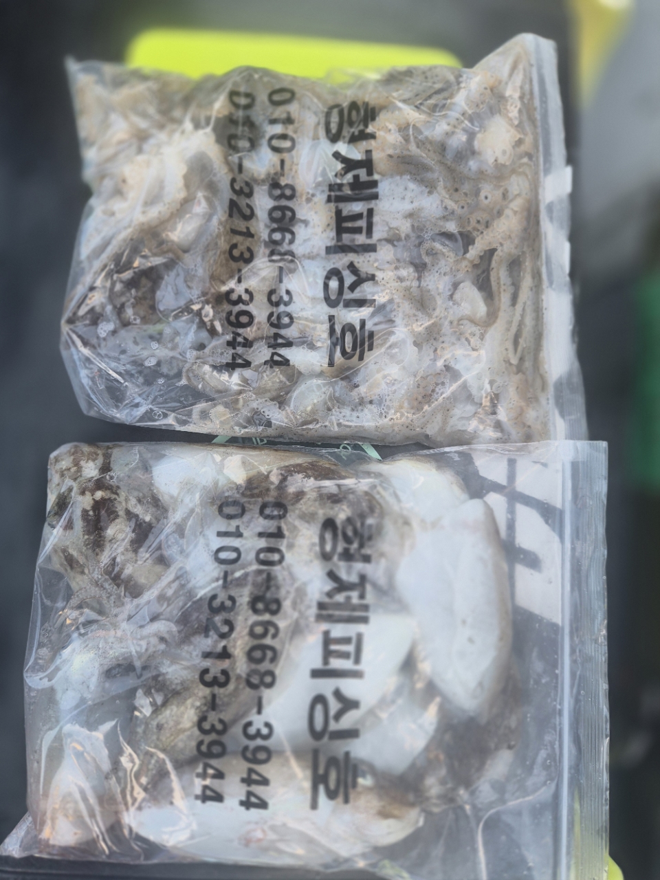 9월 12일 주꾸미 선상낚시 조황 현장 사진 10