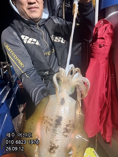9월 11일 제주 갑오징어 선상낚시 조황 현장 사진 2