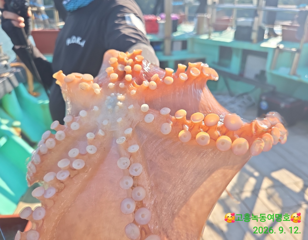 9월 13일 고흥 문어 선상낚시 조황 현장 사진 17