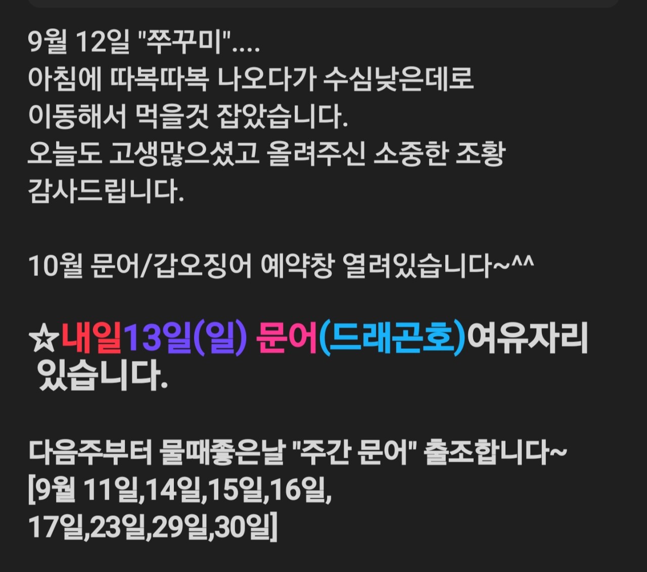 9월 12일 선상낚시 조황 현장 사진 1