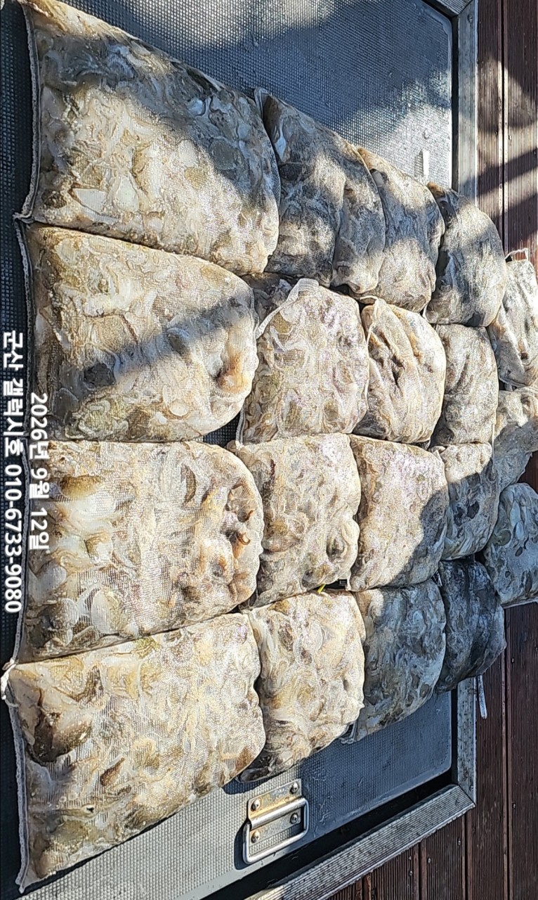 9월 12일 선상낚시 조황 현장 사진 2