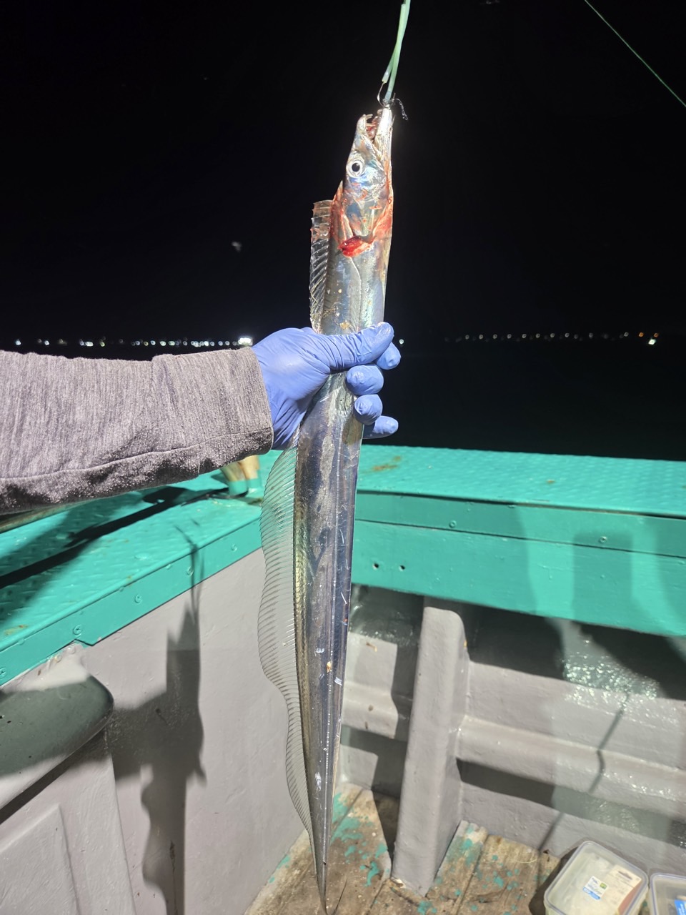 9월 12일 목포 갈치 선상낚시 조황 현장 사진 4