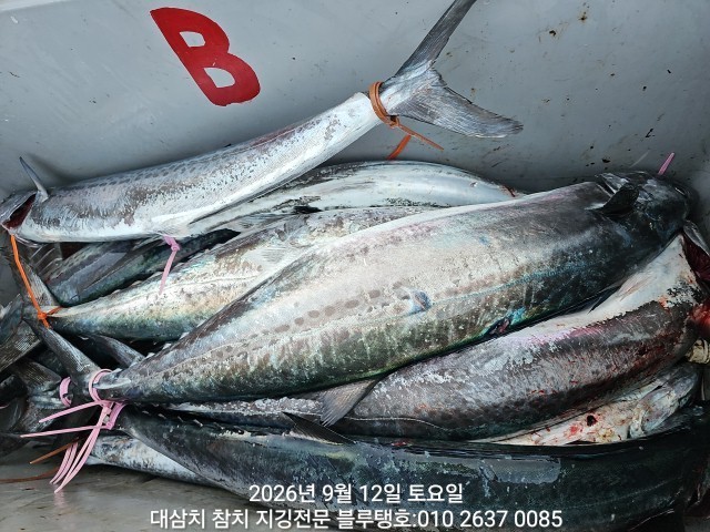 9월 12일 선상낚시 조황 현장 사진 22