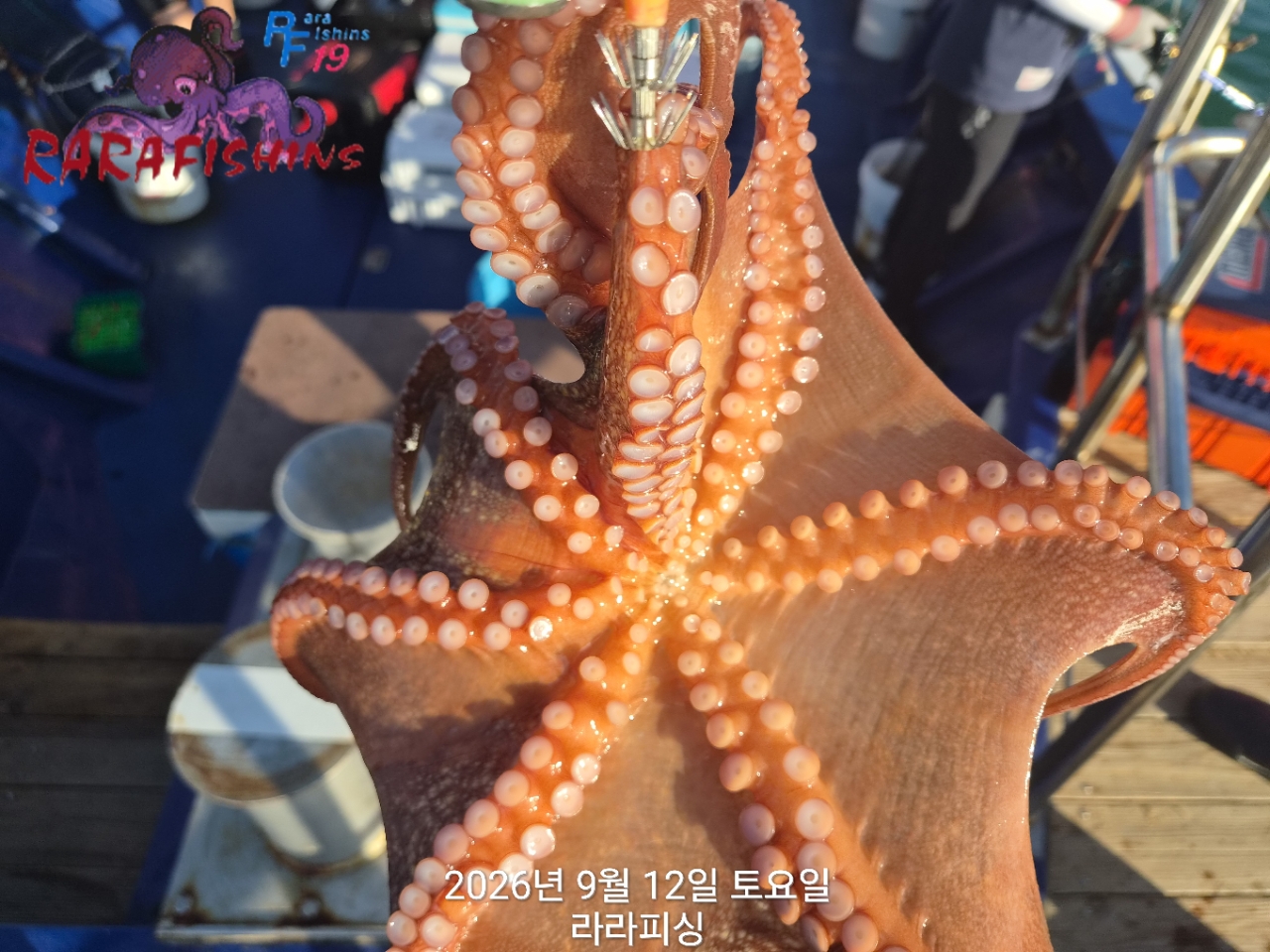 9월 12일 진해 문어 선상낚시 조황 현장 사진 6
