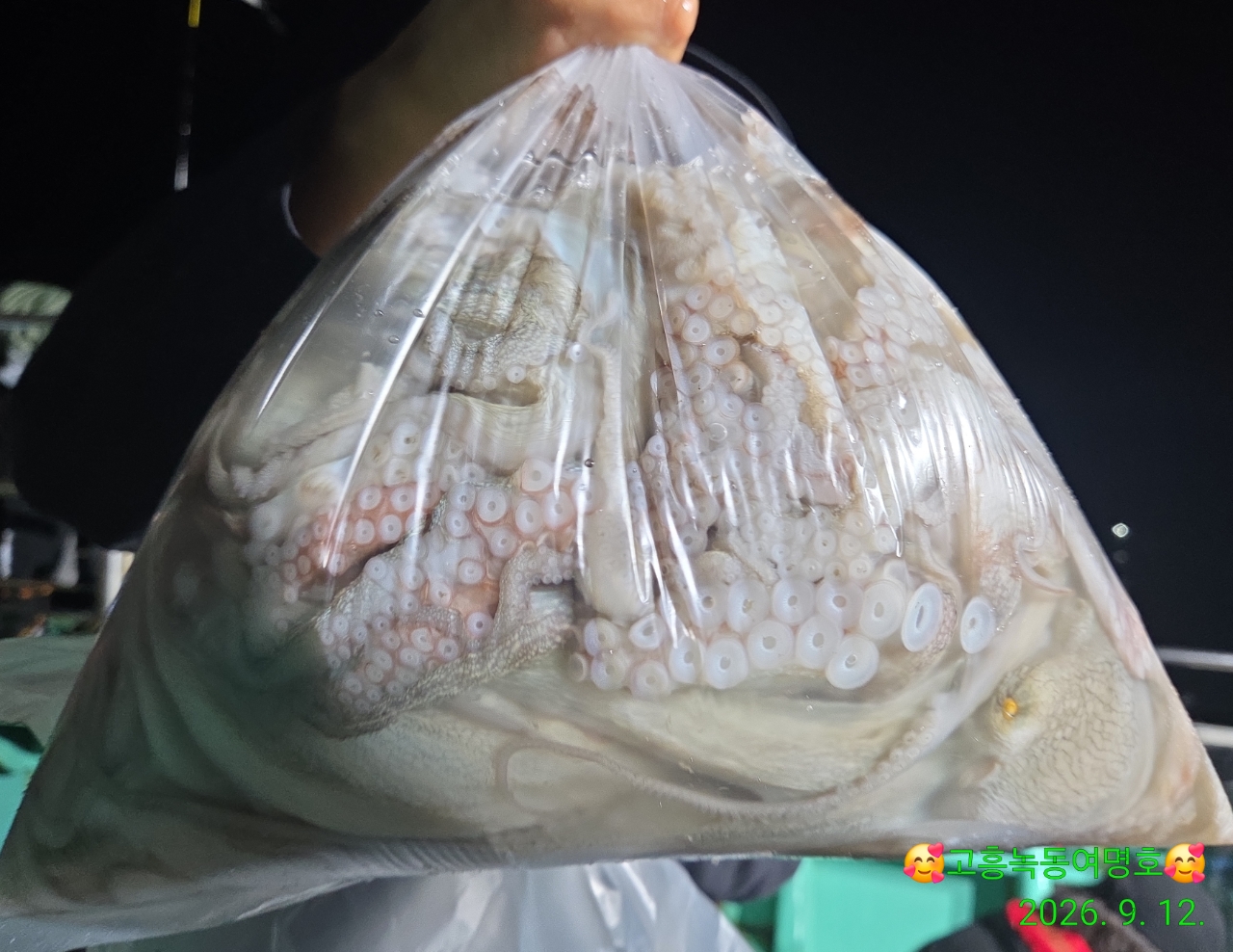 9월 13일 고흥 문어 선상낚시 조황 현장 사진 11
